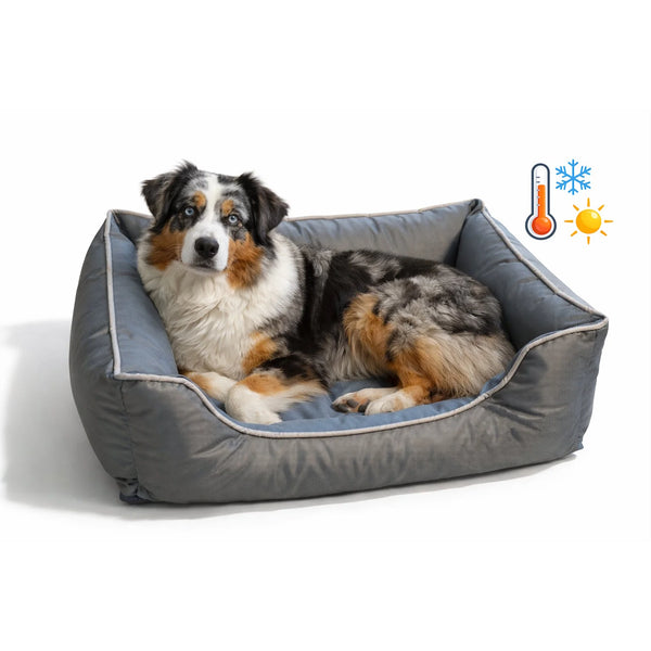 Orthopädisches Hundebett Paros Lux – isolierendes Wendebett mit Memory Foam L