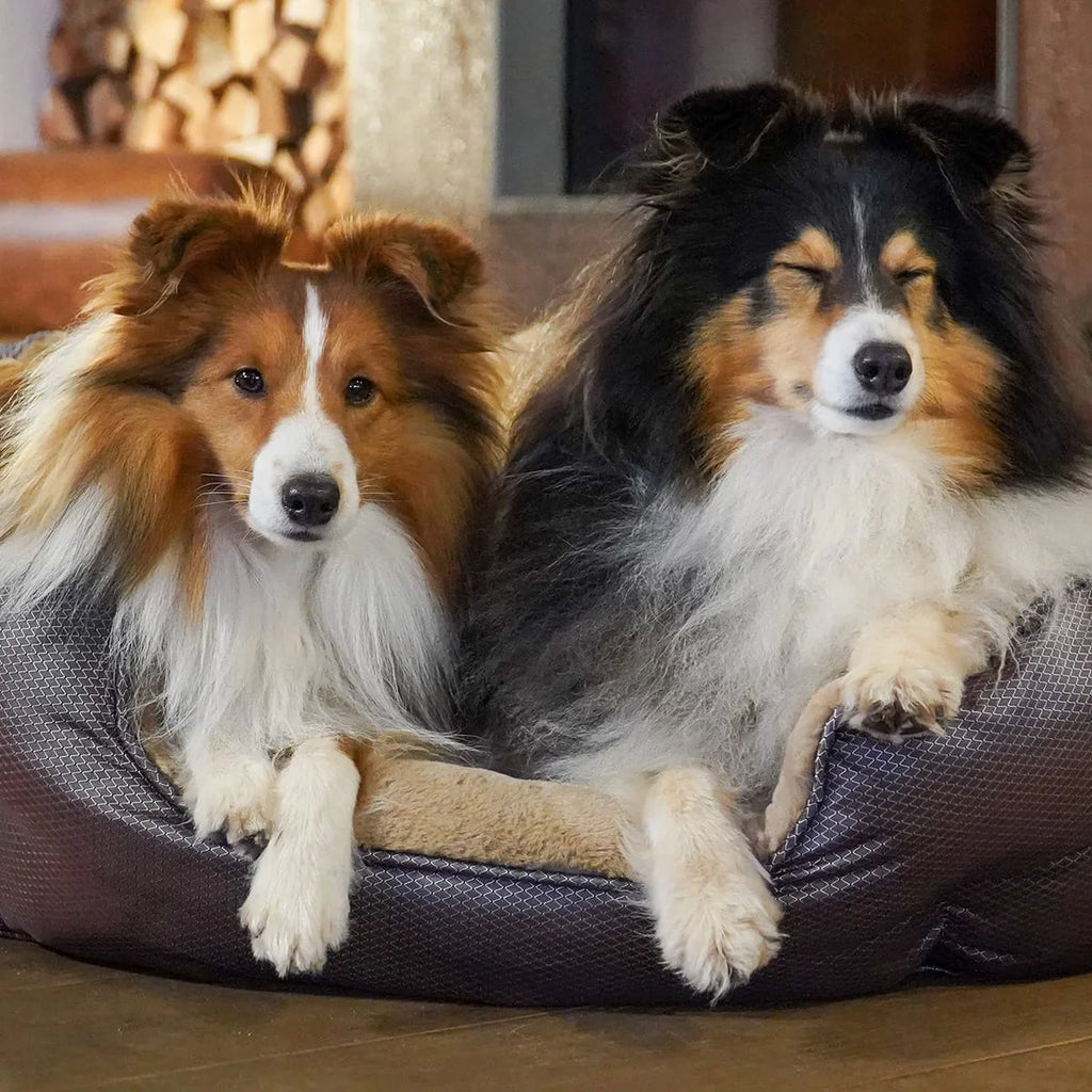 Orthopädisches Hundebett Santorini - isolierendes Wendebett mit Memory Foam, druckentlastend & beidseitig nutzbar für Sommer & Winter (braun)