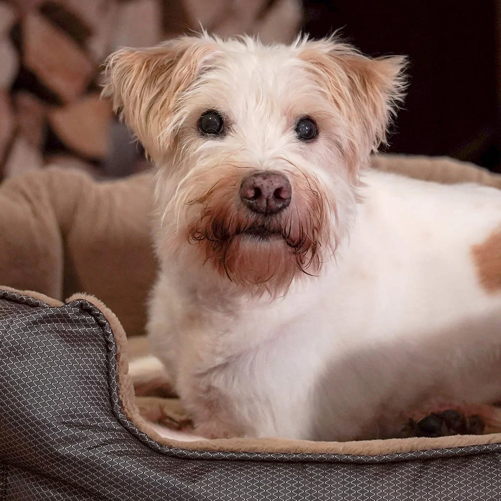 Orthopädisches Hundebett Santorini - isolierendes Wendebett mit Memory Foam, druckentlastend & beidseitig nutzbar für Sommer & Winter (braun)