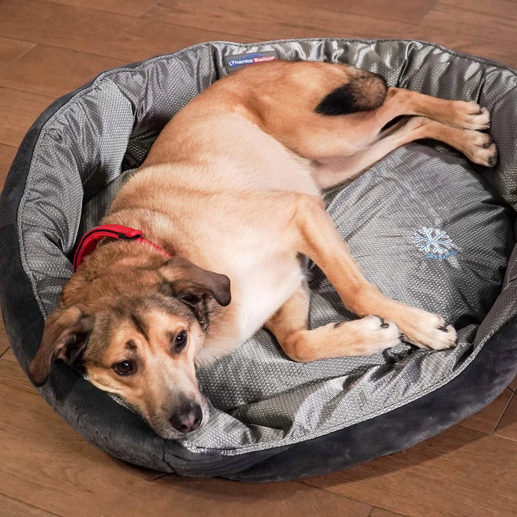 Orthopädisches Hundebett Santorini – isolierendes Wendebett mit Memory Foam, druckentlastend & beidseitig nutzbar für Sommer & Winter (silber-grau)