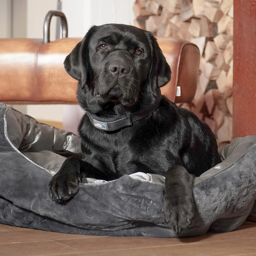 Orthopädisches Hundebett Santorini – isolierendes Wendebett mit Memory Foam, druckentlastend & beidseitig nutzbar für Sommer & Winter (silber-grau)