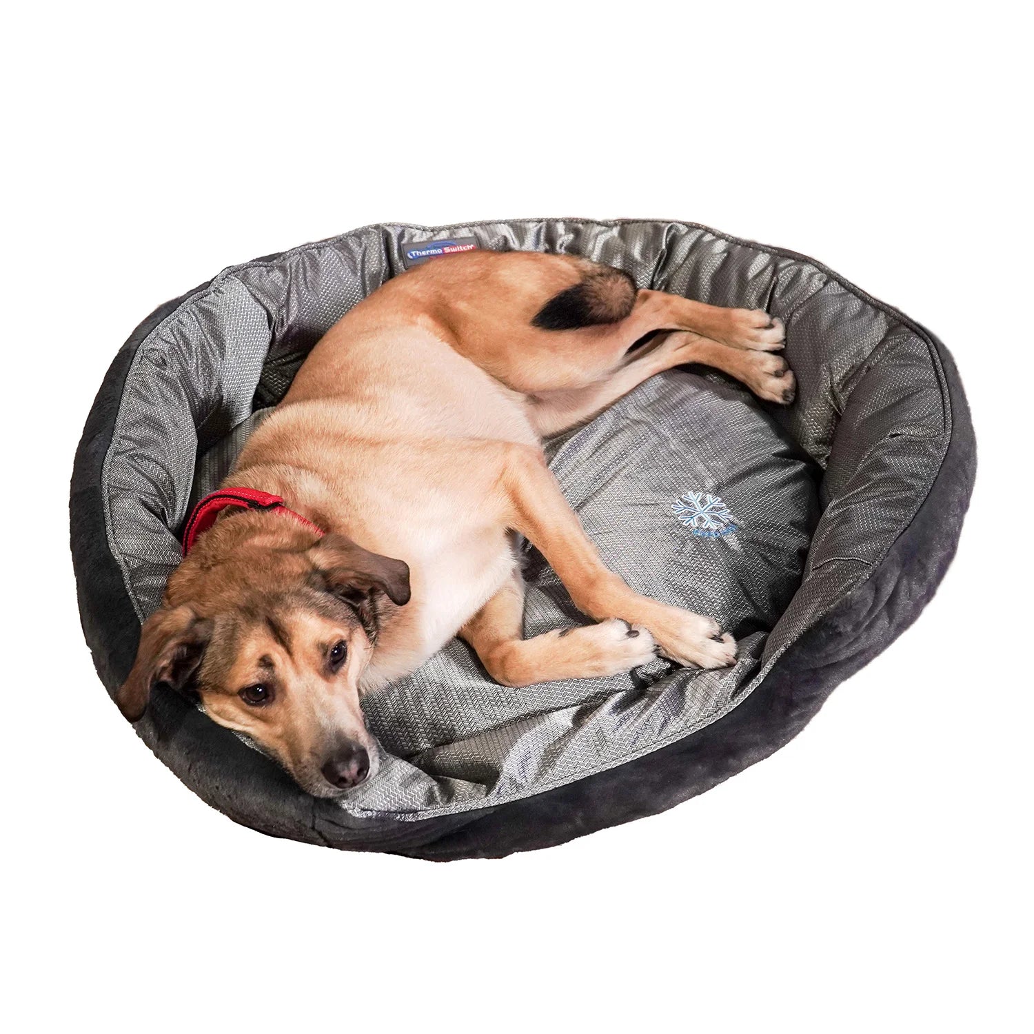 sensitiv trockenfutter für hunde Natural Trainer Sensitive Dry Dog Food For Medium and Maxi – ZuZu.land