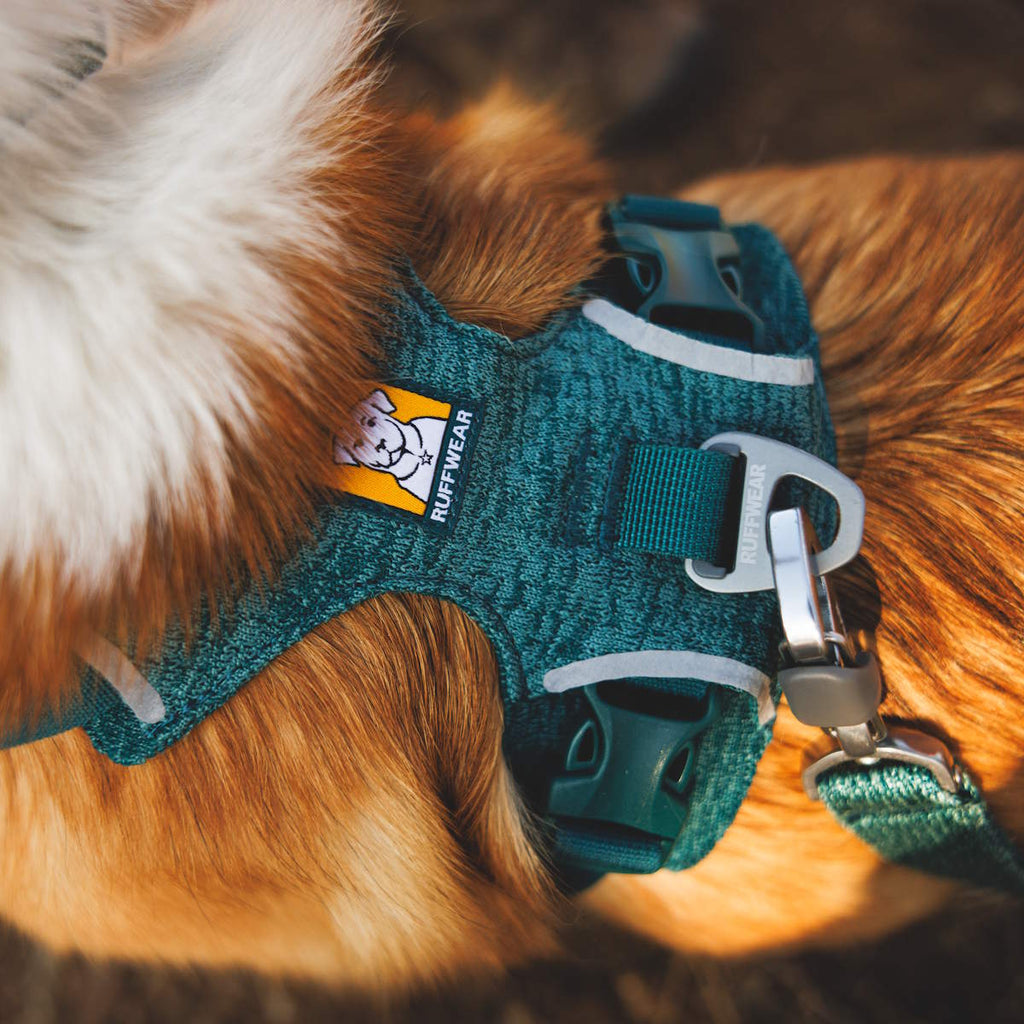 Ruffwear Front Range® Flex Hundegeschirr