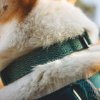 Ruffwear Front Range™ Flex Hundehalsband