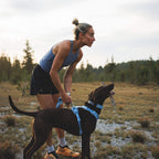 Ruffwear Front Range™ Flex Leine