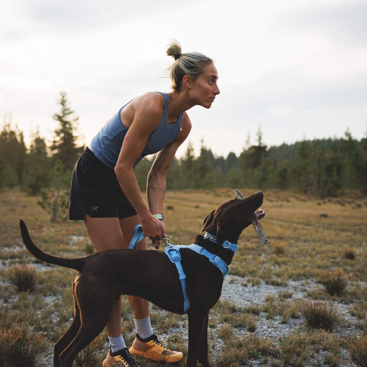 Ruffwear Front Range™ Flex Leine