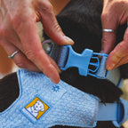 Ruffwear Front Range™ Flex Hundehalsband