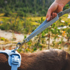 Ruffwear Front Range™ Flex Leine