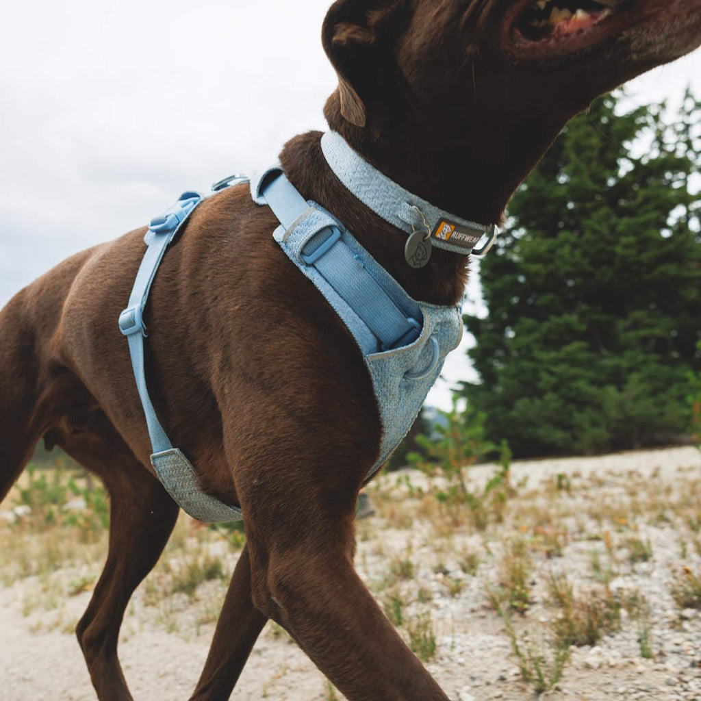 Ruffwear Front Range® Flex Hundegeschirr