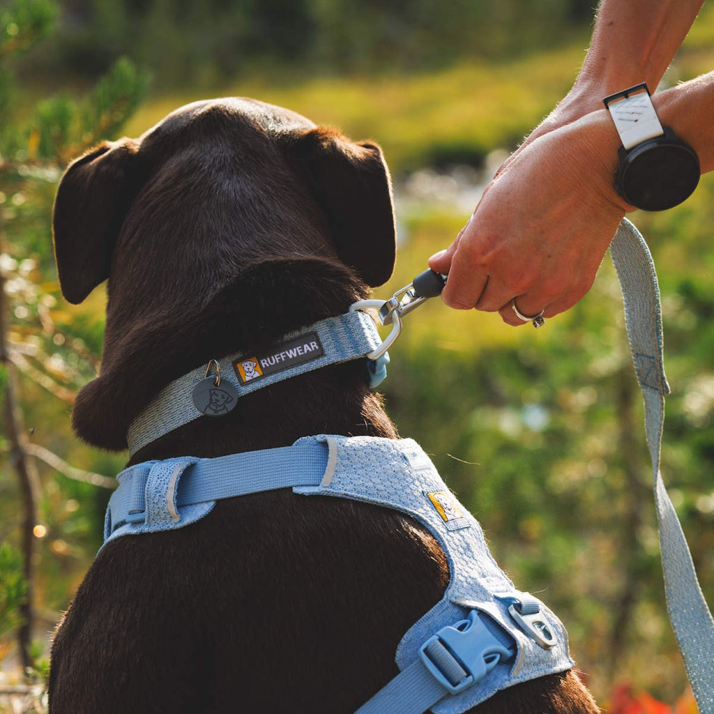 Ruffwear Front Range™ Flex Hundehalsband