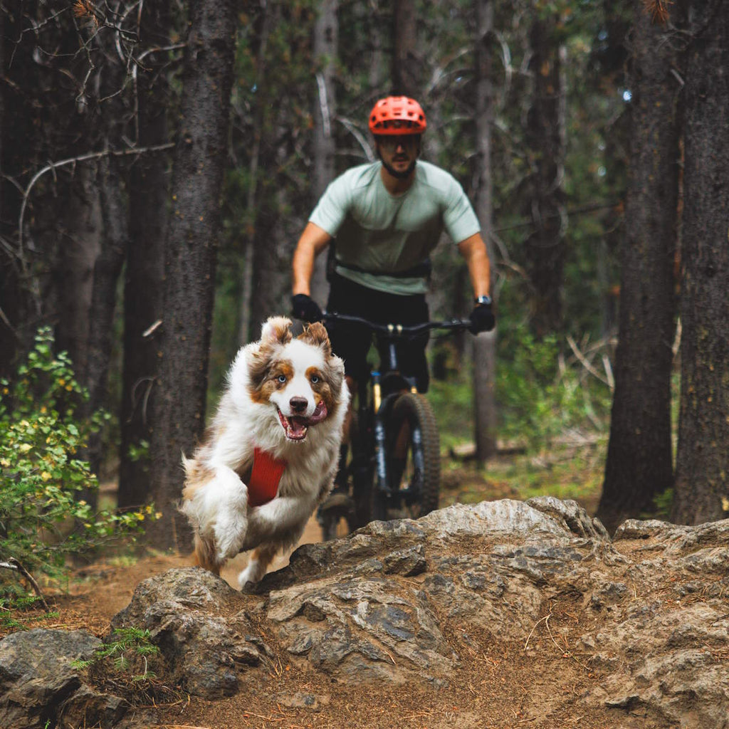 Ruffwear Front Range® Flex Hundegeschirr