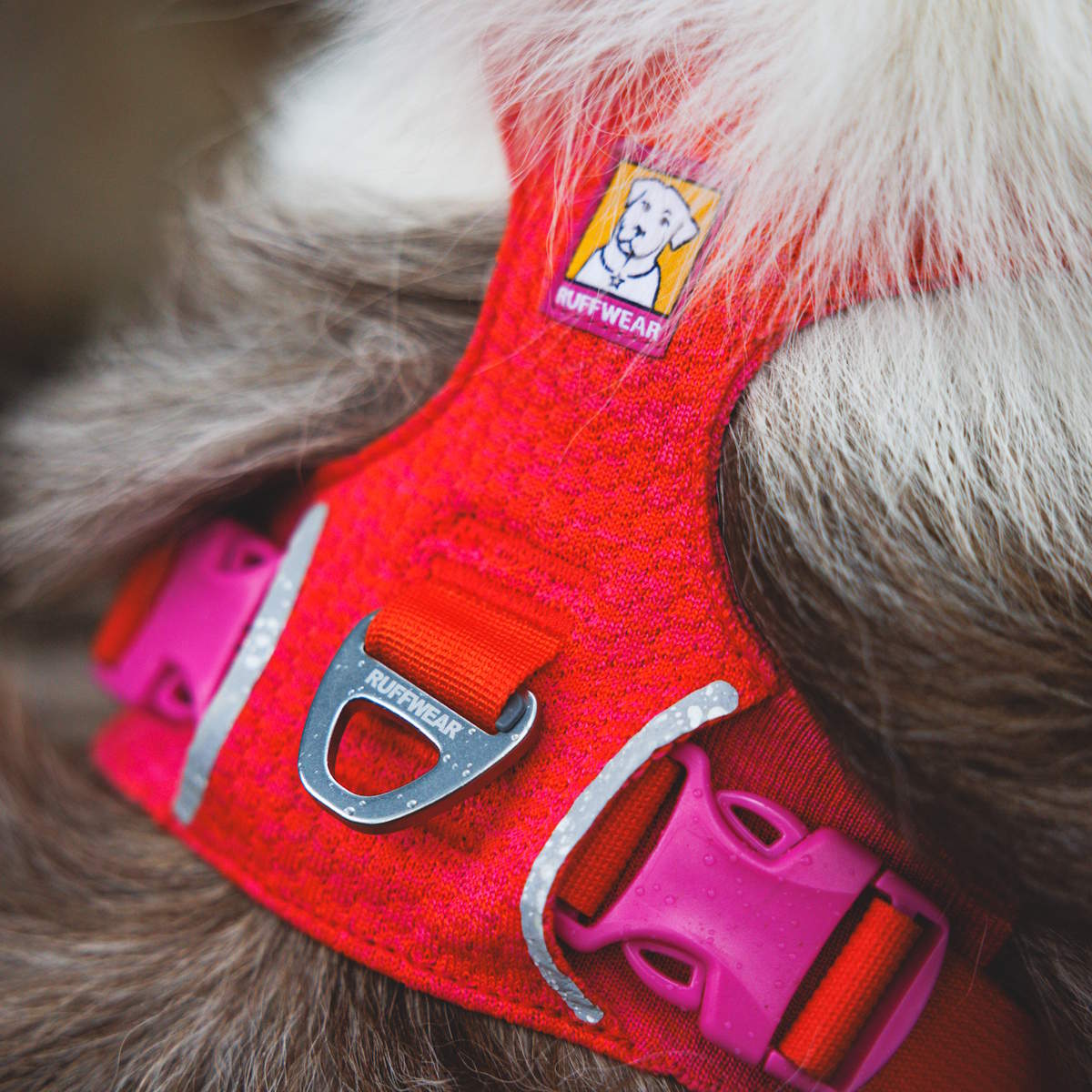 Ruffwear Front Range® Flex Hundegeschirr