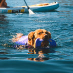 Web JPG-45103_Float-Coat-Life-Jacket_Purple-Lily_Paddleboarding-5