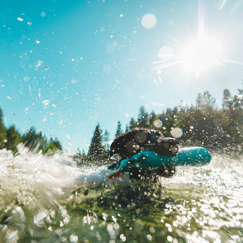 60203_Lunker-Toy_Swimming_-9