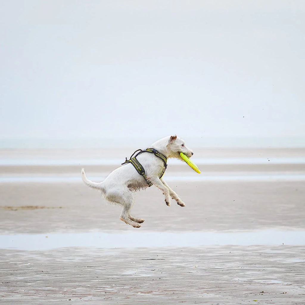 AM.12112020-_A6A7727.small