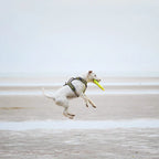 AM.12112020-_A6A7727.small