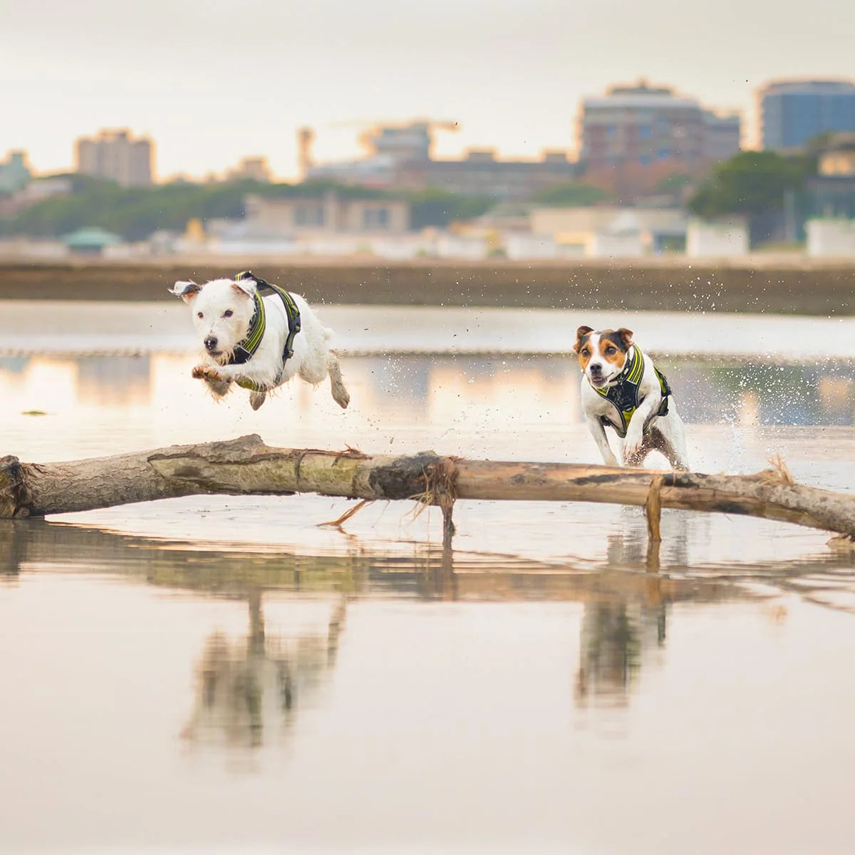 AM.12112020-_A6A8145.big