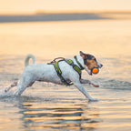 AM.12112020-_A6A8206.big