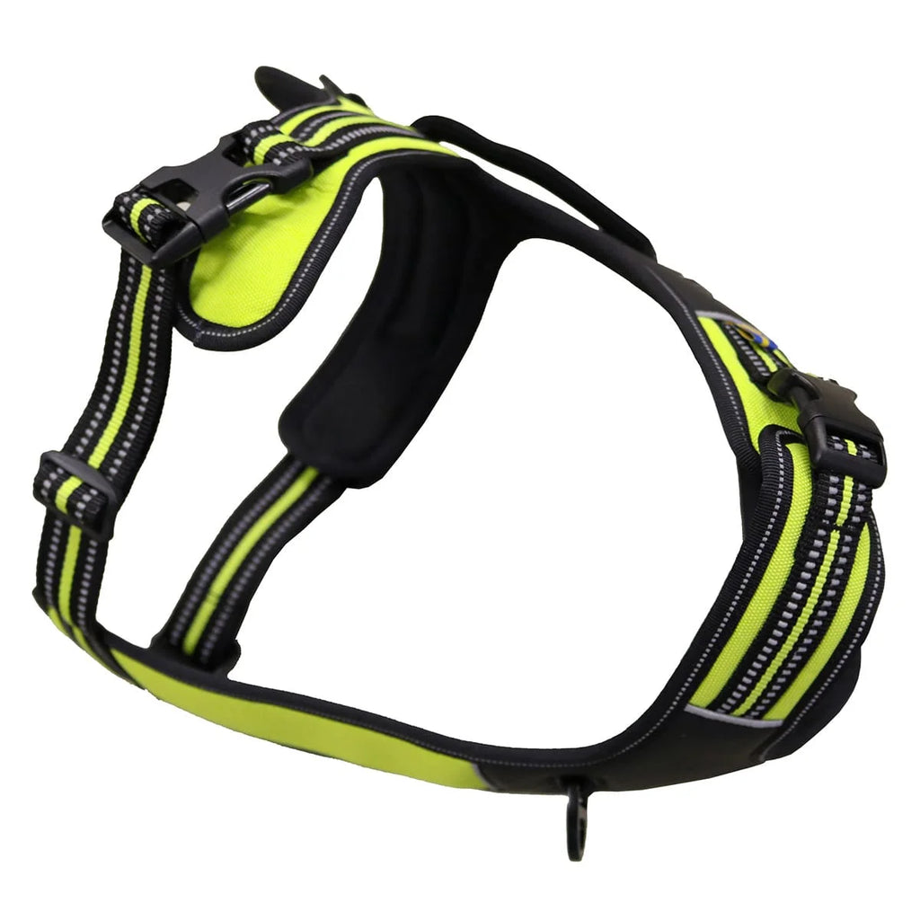 axaeco-power-geschirr-2