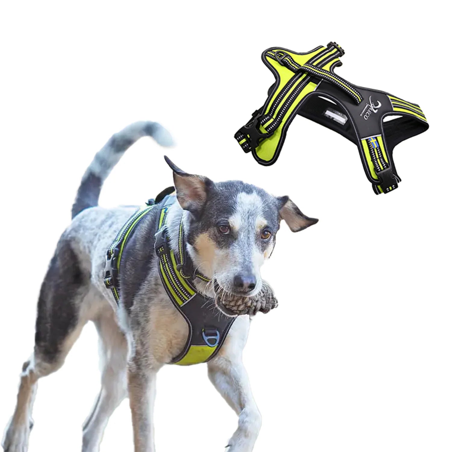 Axaeco Power Hundegeschirr