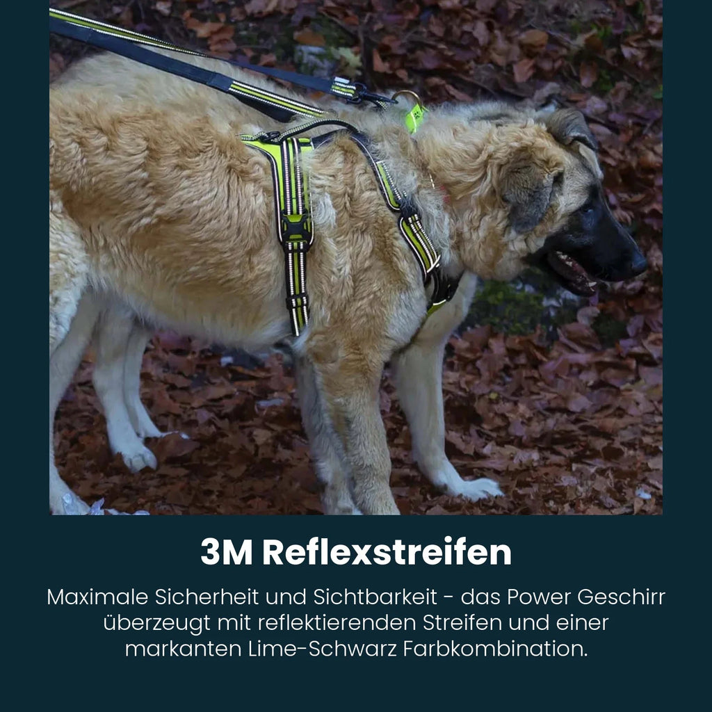 power-geschirr-amazon-1