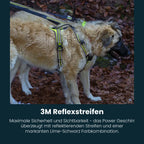 power-geschirr-amazon-1