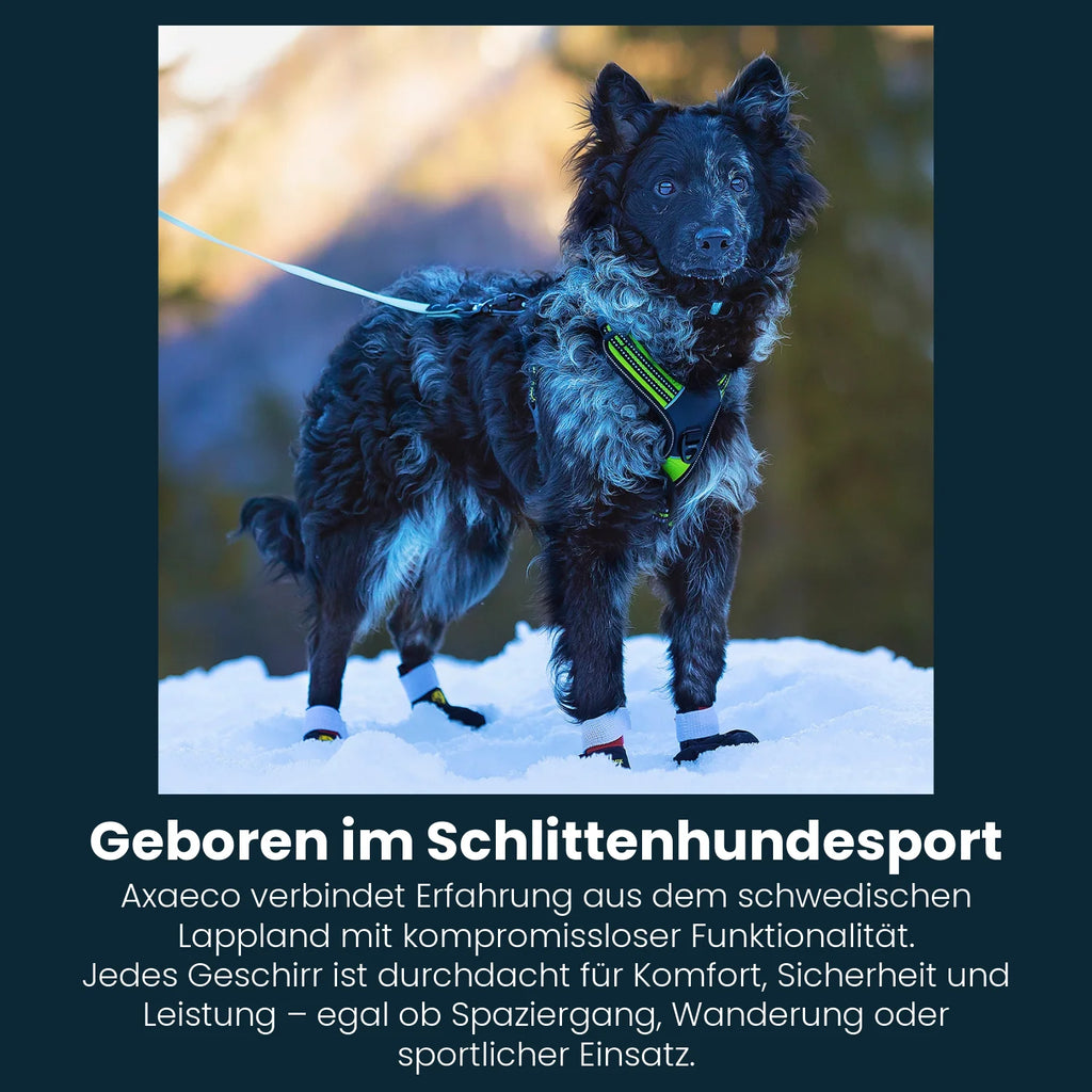 power-geschirr-amazon-5