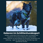 power-geschirr-amazon-5