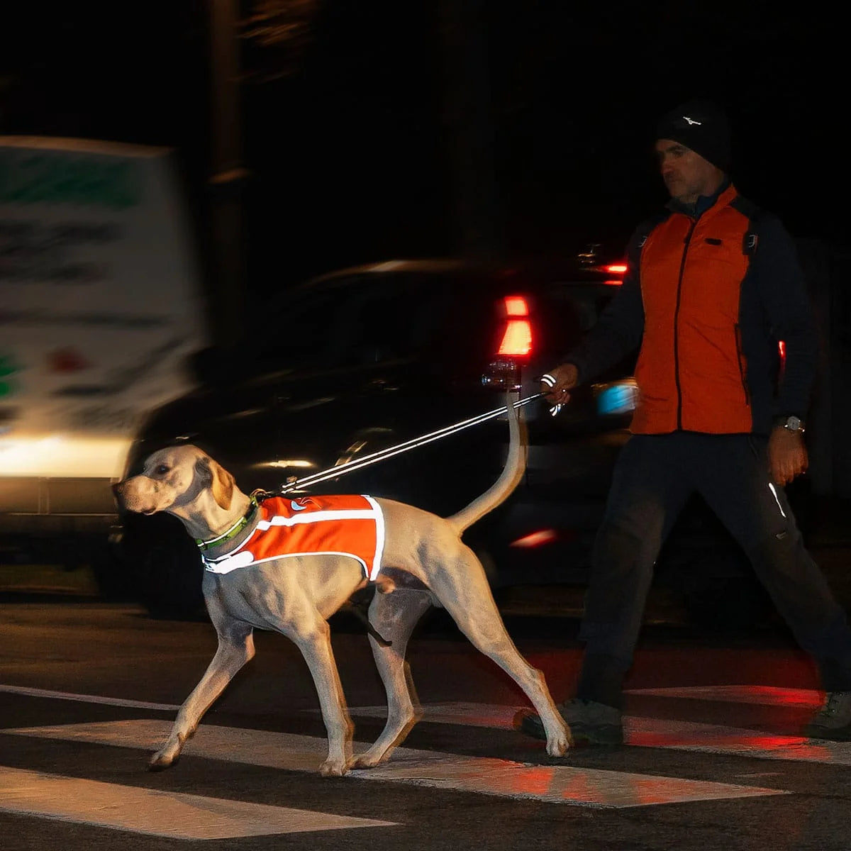 axaeco-trapper-warnweste-fuer-hunde-10