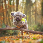 axaeco-trapper-warnweste-fuer-hunde-3