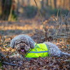 axaeco-trapper-warnweste-fuer-hunde-9