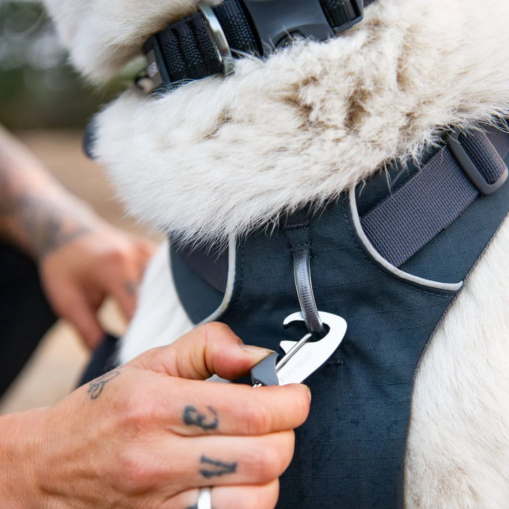 front-range-hundegeschirr-basalt-gray-leno-shop-10