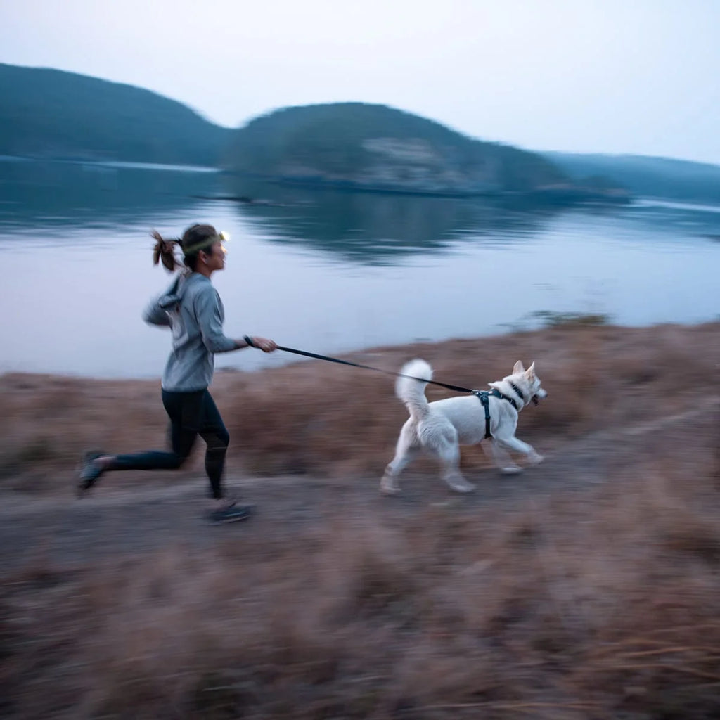 front-range-hundegeschirr-basalt-gray-leno-shop-11