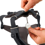 front-range-hundegeschirr-basalt-gray-leno-shop-5