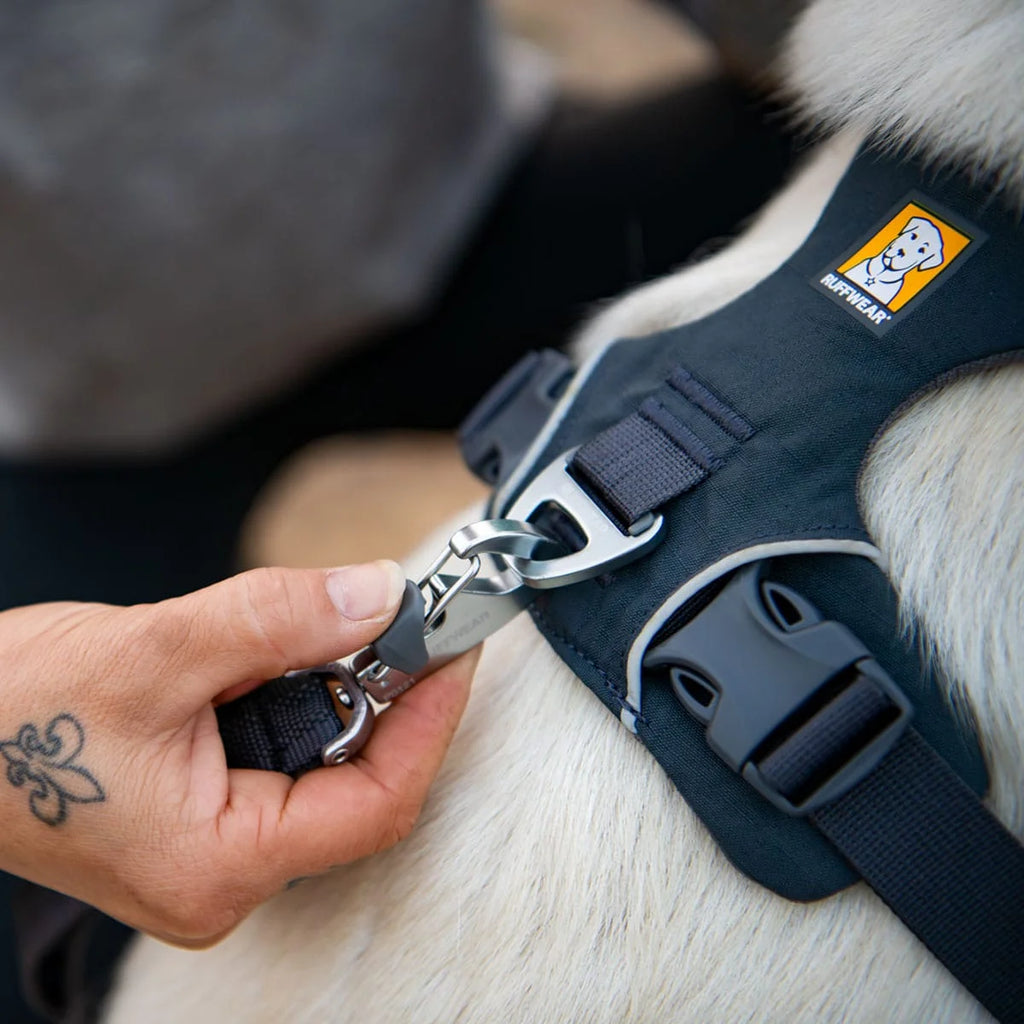 front-range-hundegeschirr-basalt-gray-leno-shop-7