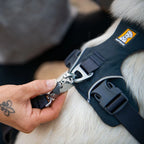 front-range-hundegeschirr-basalt-gray-leno-shop-7