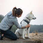 front-range-hundegeschirr-basalt-gray-leno-shop-8