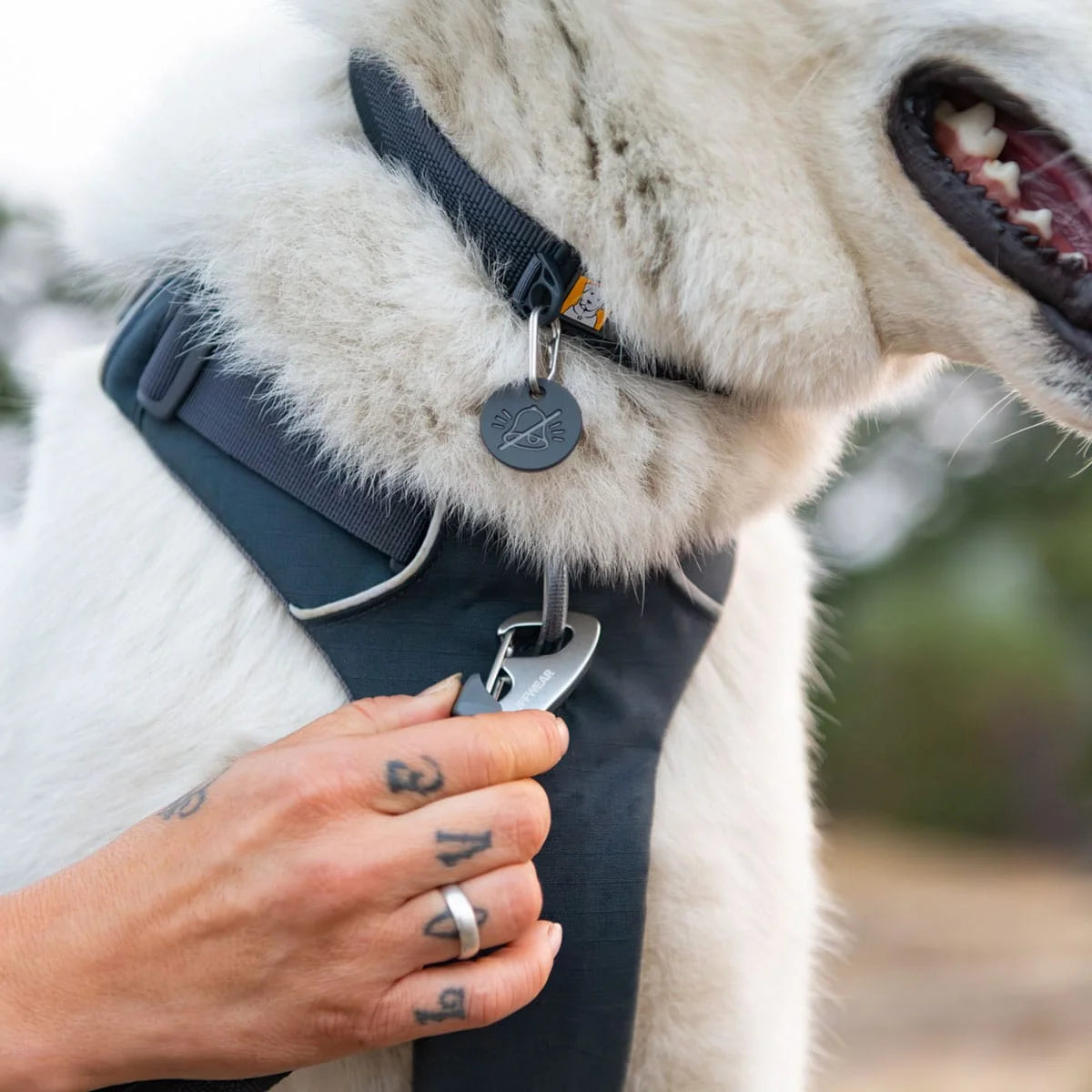 front-range-hundegeschirr-basalt-gray-leno-shop-9