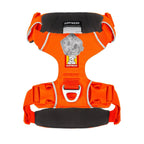 front-range-hundegeschirr-blaze-orange-leno-shop-2