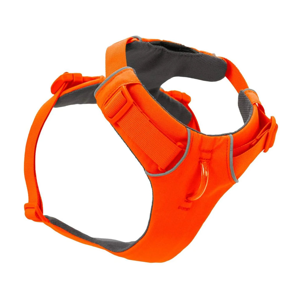 front-range-hundegeschirr-blaze-orange-leno-shop-4