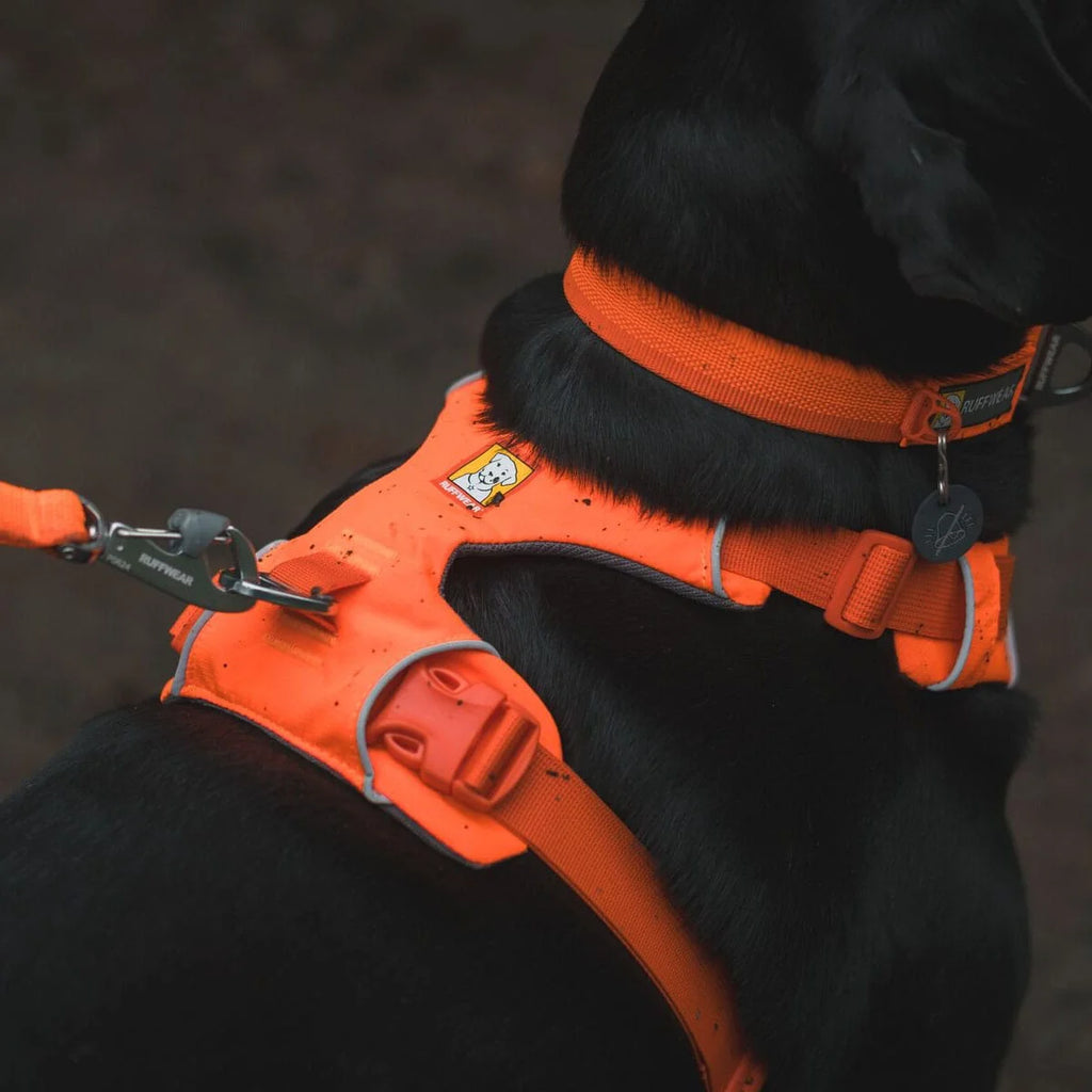 front-range-hundegeschirr-blaze-orange-leno-shop-5