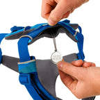 front-range-hundegeschirr-costal-mountains-leno-shop-4