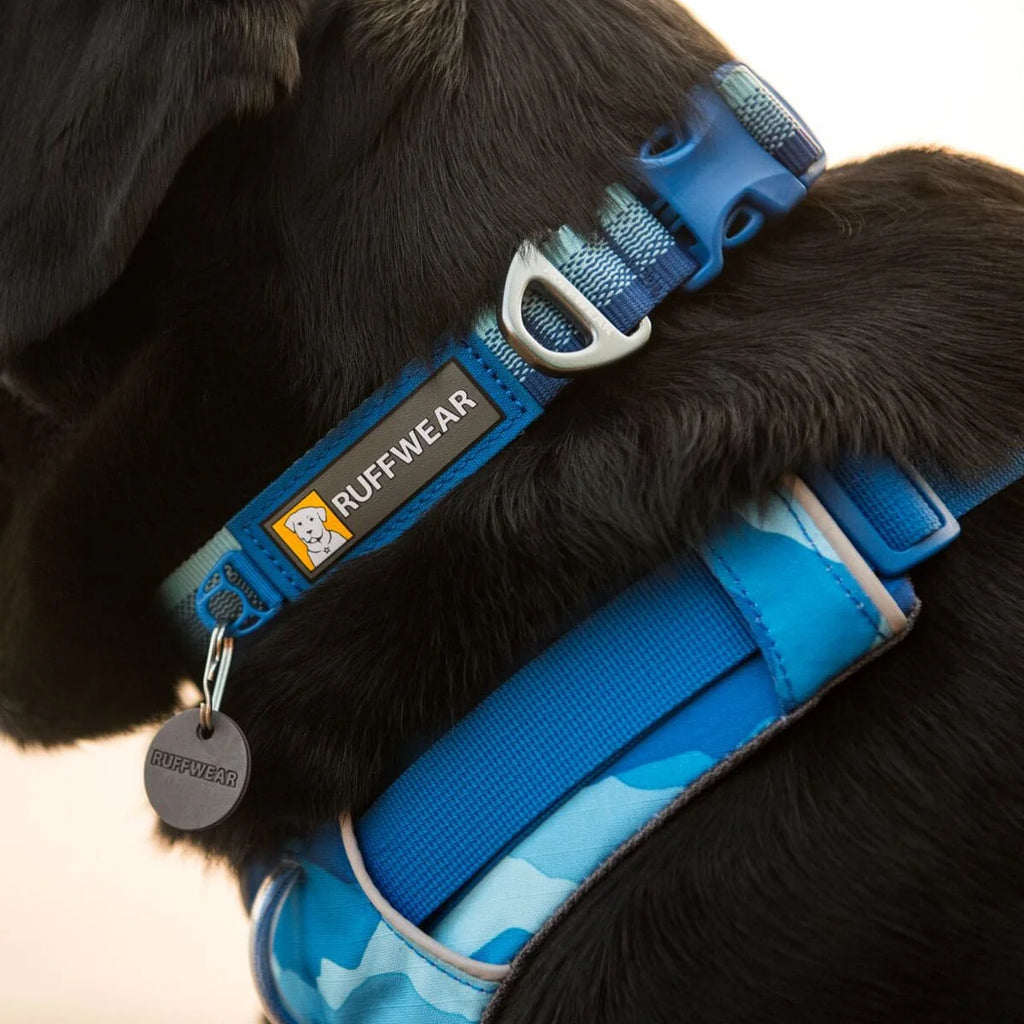 front-range-hundegeschirr-costal-mountains-leno-shop-7