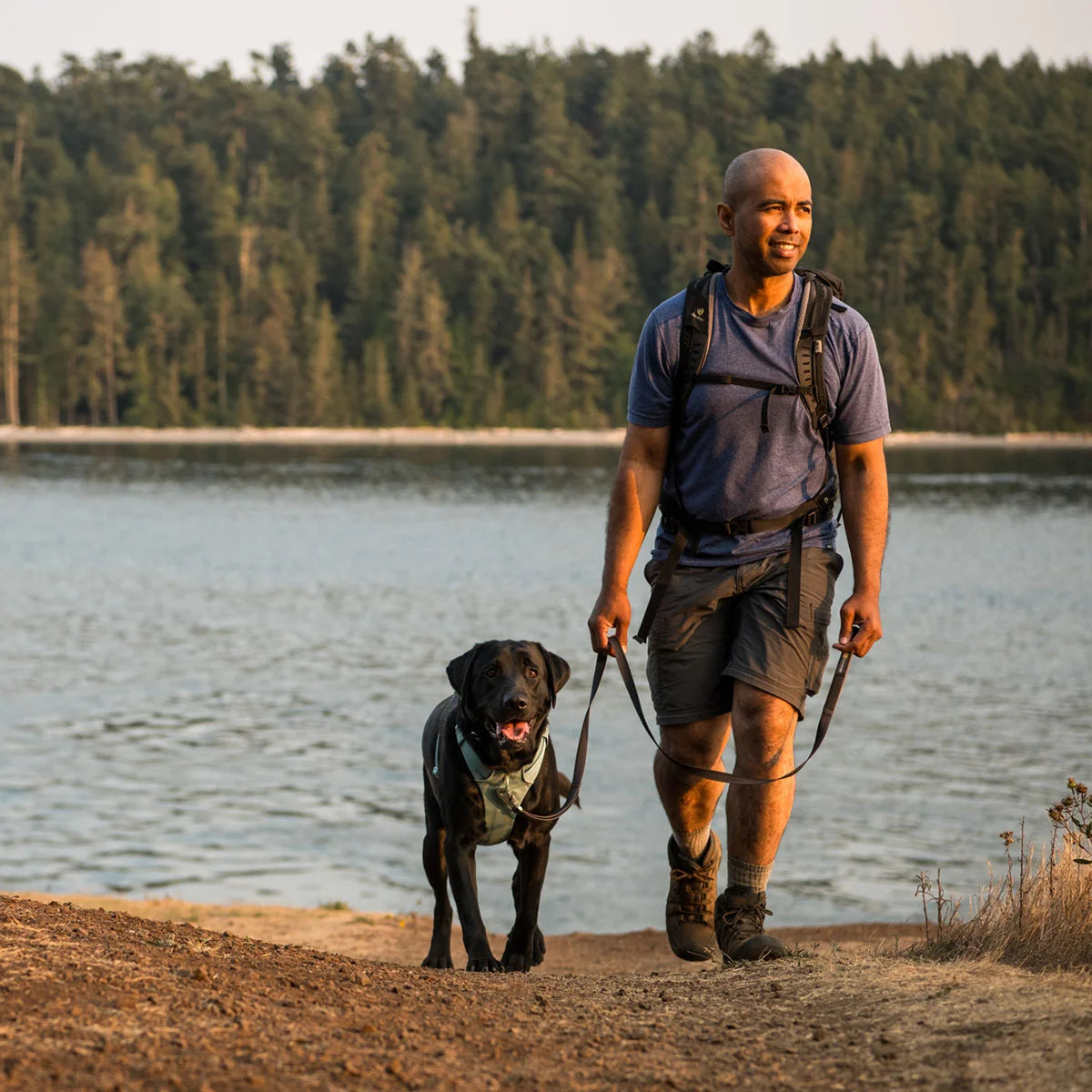 front-range-hundegeschirr-river-rock-green-leno-shop-9