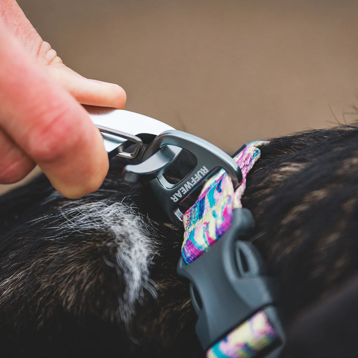 front-range-hundehalsband-reef-fish-leno-shop-5