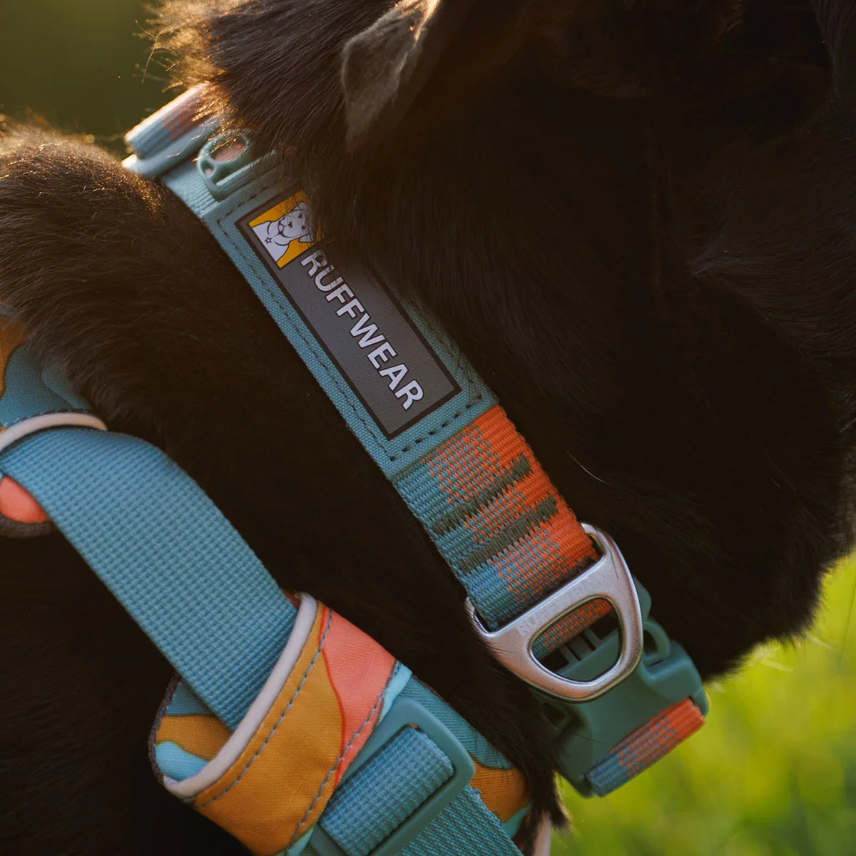 front-range-hundehalsband-spring-fade-leno-shop-4