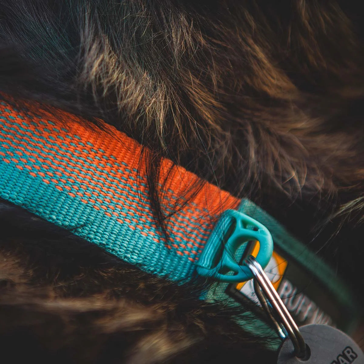 front-range-hundehalsband-spring-fade-leno-shop-5