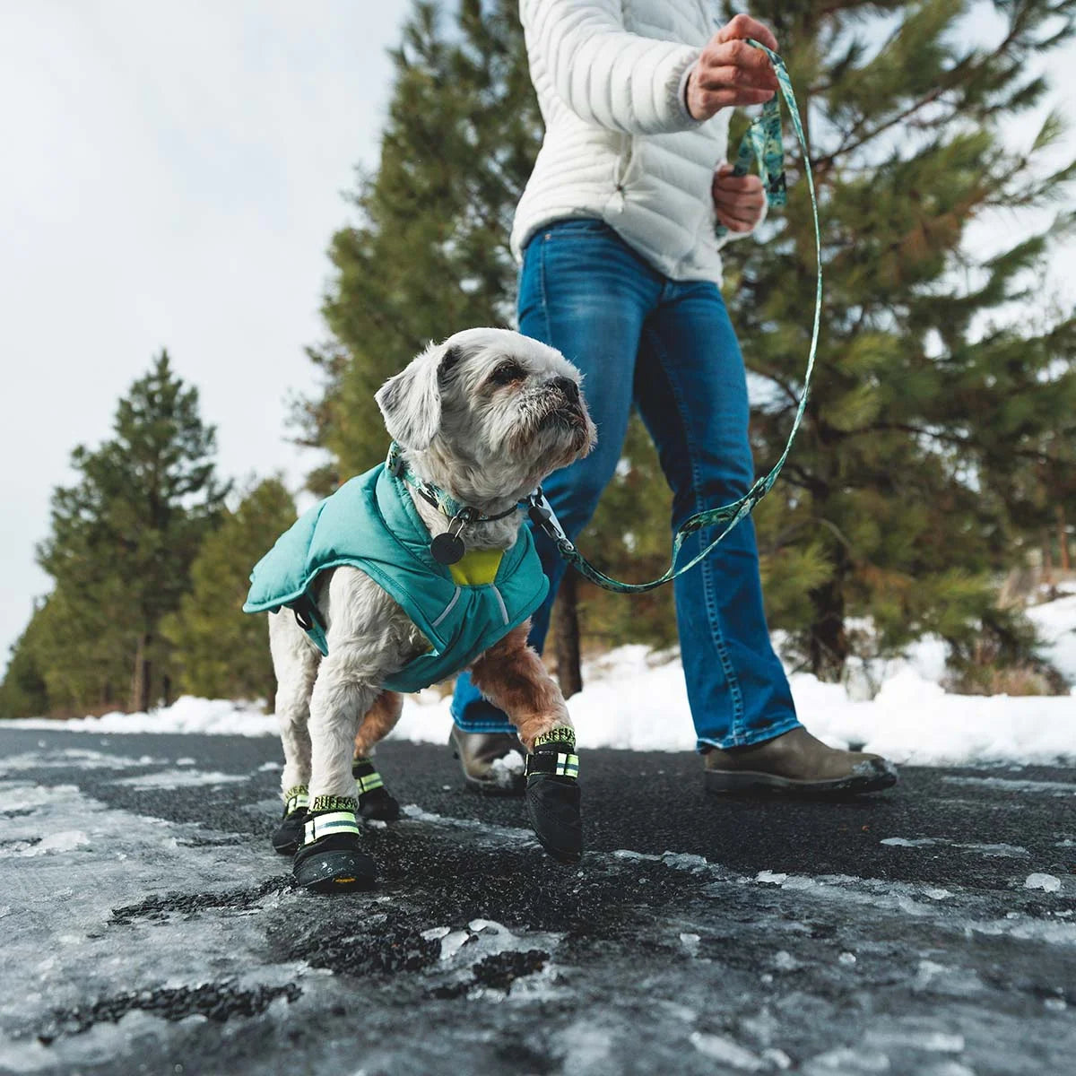 front-range-hundehalsband-sweeping-sage-leno-shop-5