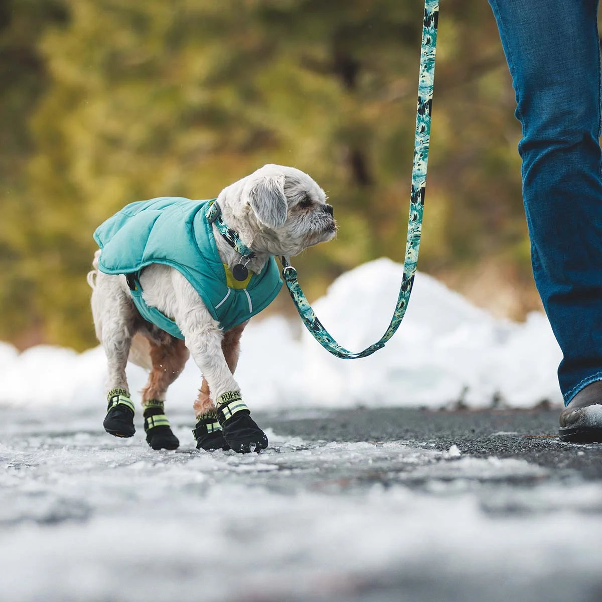 front-range-hundehalsband-sweeping-sage-leno-shop-6
