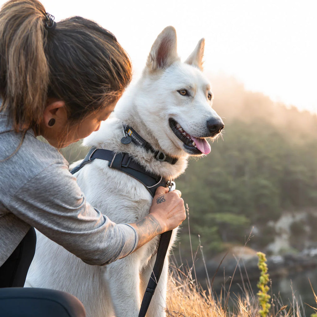 front-range-hundeleine-basalt-gray-leno-shop-6